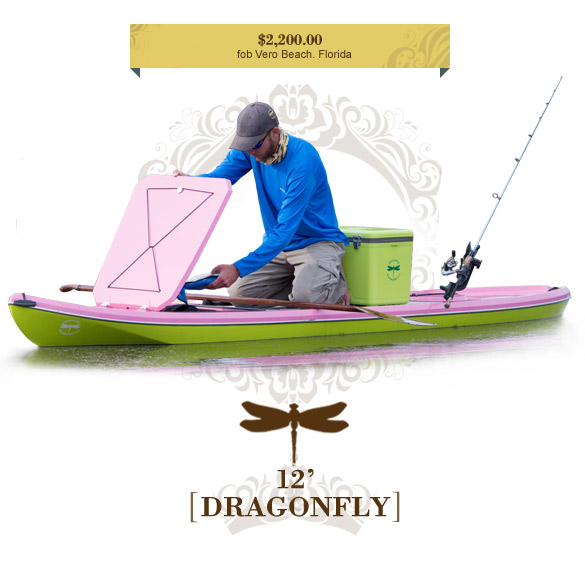 dragonfly 10 0