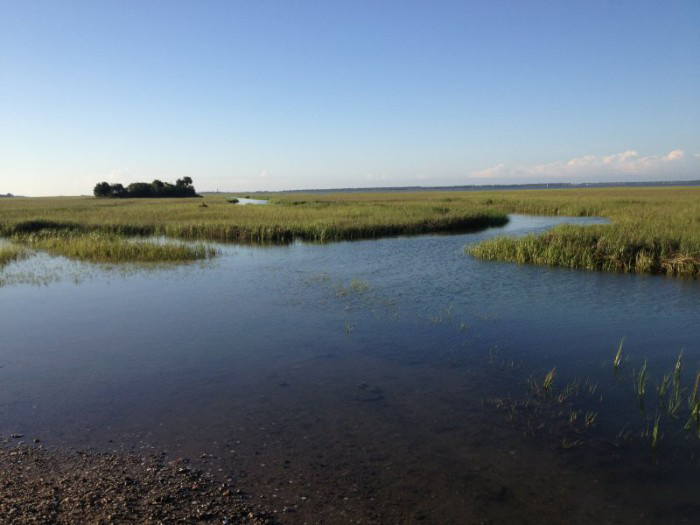 sc-marshes-sup-fish-tourn-62012